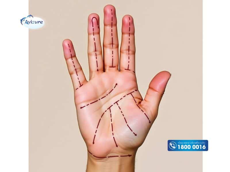 Hướng dẫn cách xem chỉ tay đoán sinh con trai hay gái